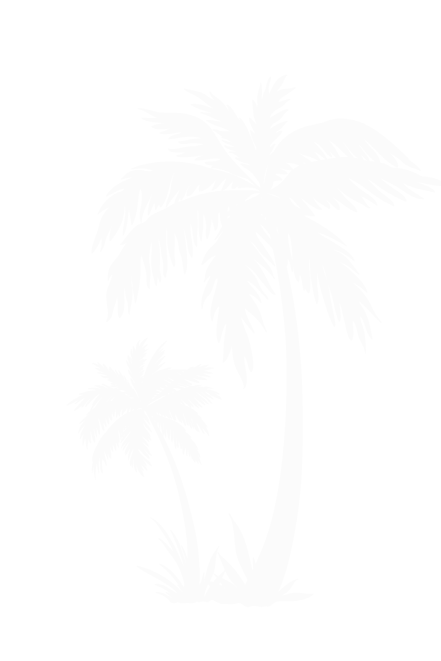 Palm Tree
