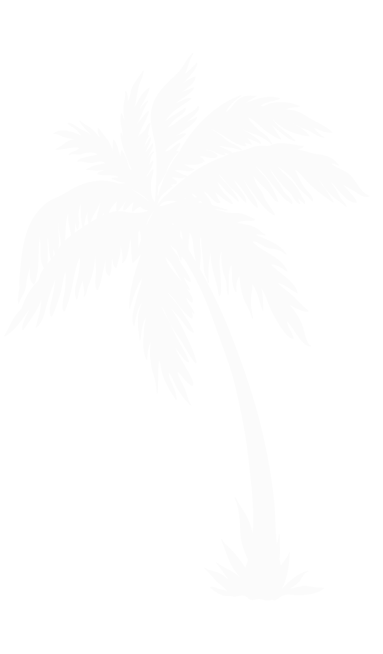 Palm Tree
